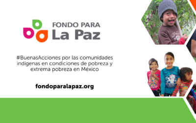 Fondo Para La Paz Changes Lives in Mexico’s Rural Communities